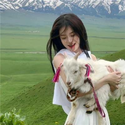 丝绒完恋 在线观看封面